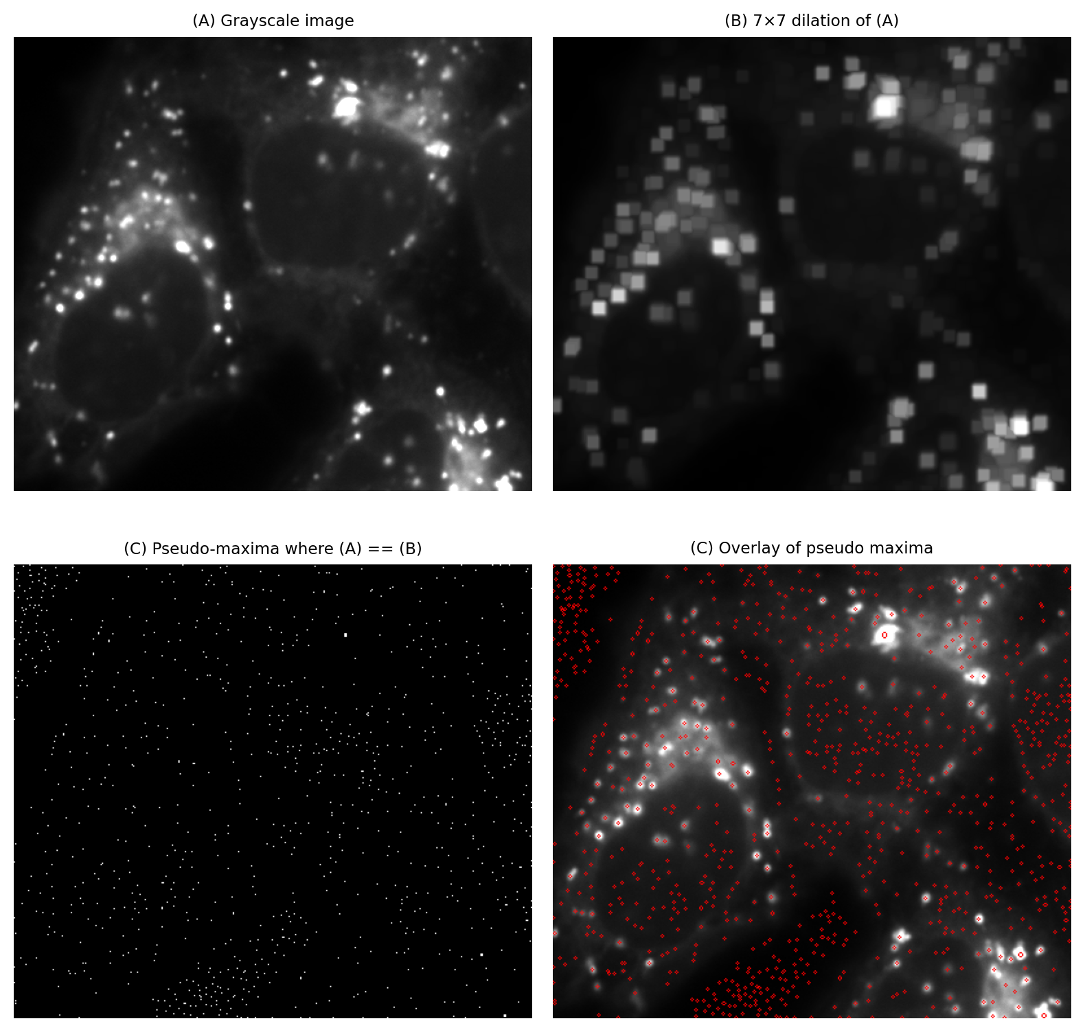 ../../../_images/550af544b295e54ca33527fd21caa7a8449e14ede3fa75384e0a5cd378e7b0dc.png