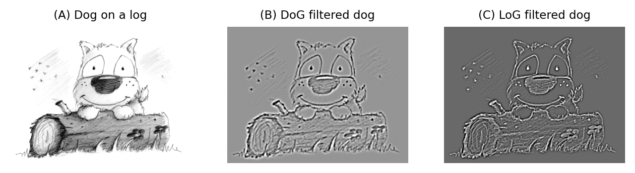 ../../../_images/75e825977669ef18ea92d7b951405c2ed540b09c3565f52c0e459f924068ec88.png