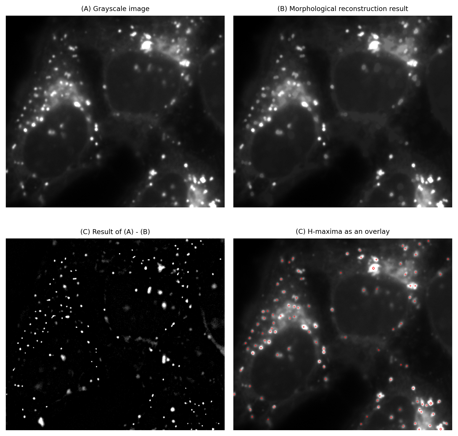 ../../../_images/f00083750f9093d6c918fa80729cd650462b54a1df2283060d32bf76c368e5e6.png
