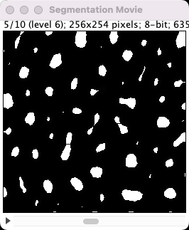 ../../../_images/imagej-binary-blobs-stack.png