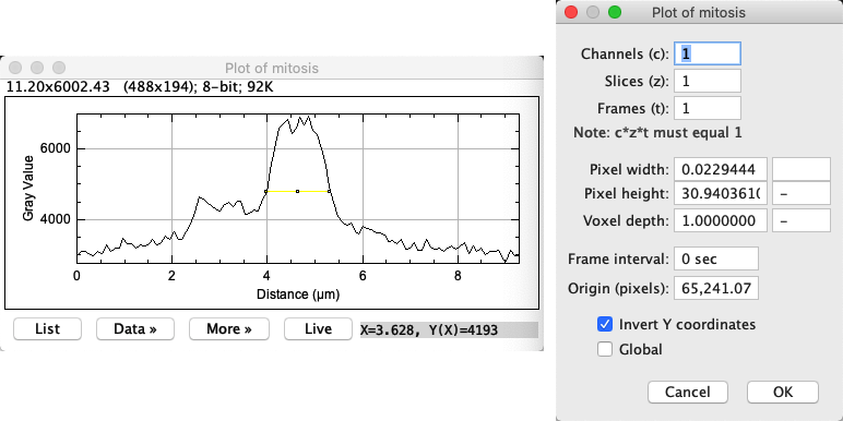 ImageJ Pixel Size Dimensions Introduction To Bioimage Analysis