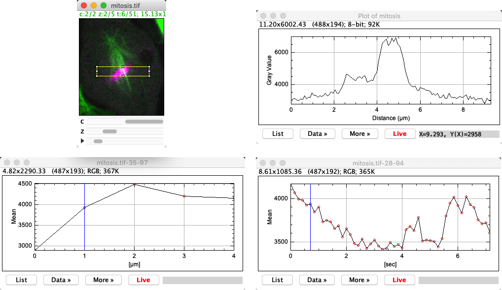 ../../../_images/imagej-dimensions-profiles.png