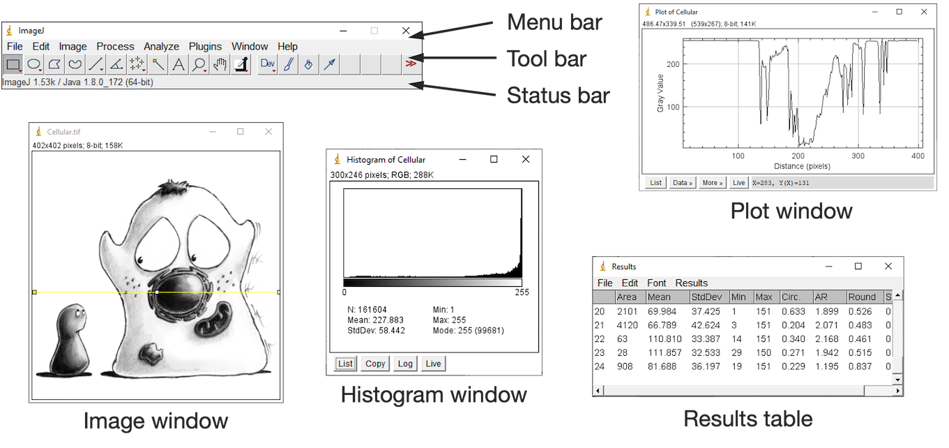 imagej threshold selection gui