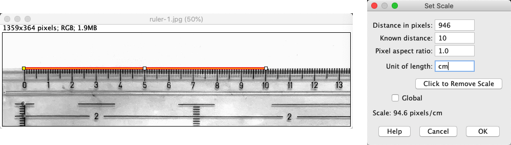 ../../../_images/pixels-set-scale-ruler.png